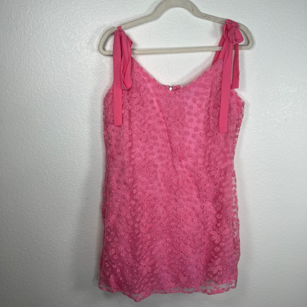 Francescas Blue Rain Pink Floral Embroidered Tie Shoulder Mini Dress Large NWT